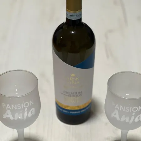 Πανσιόν Anja